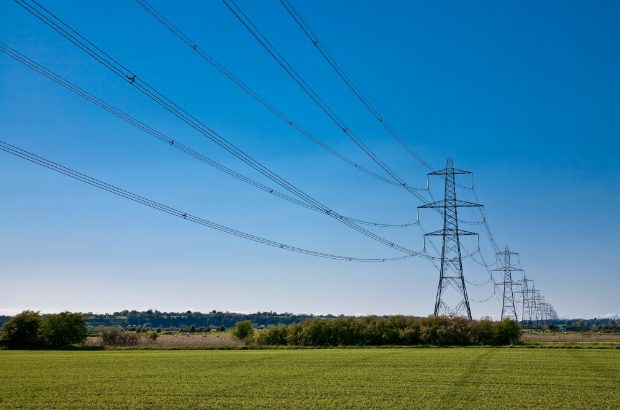 Electricity pylons in a field