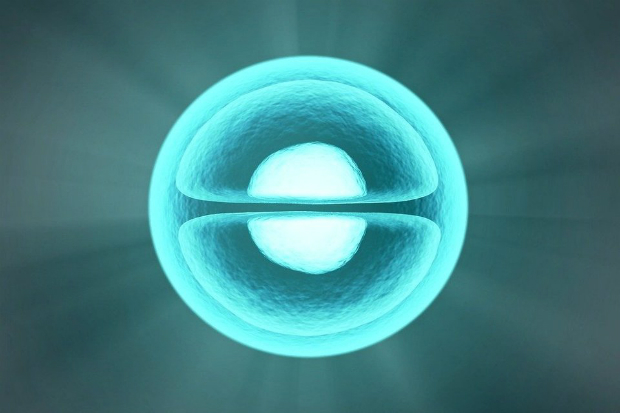 Hydrogen molecule